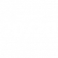 2020-Icon